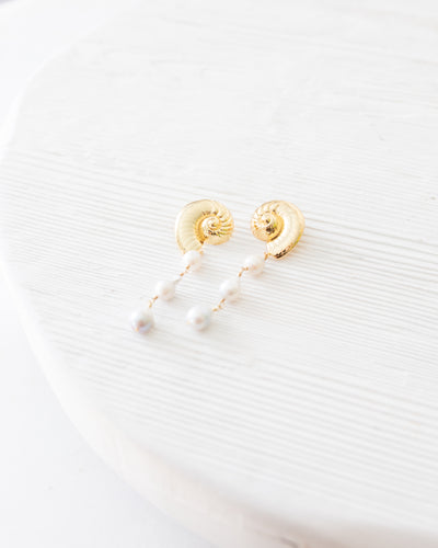 Concha Shell Drop Earrings