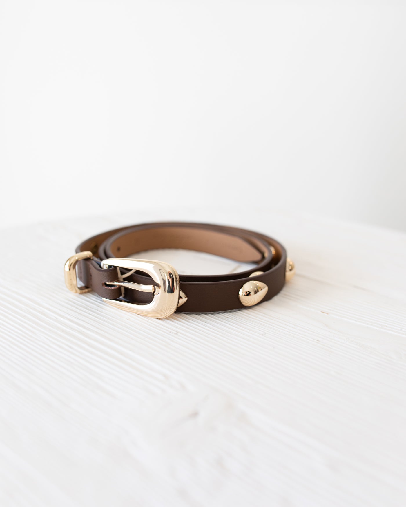 Teardrop Studded Belt in Dark Brown