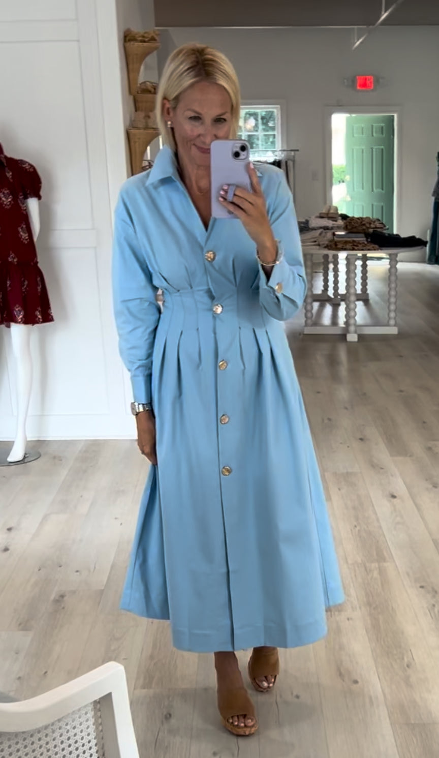 Light Blue Long Sleeve Gold Button Down Maxi Dress