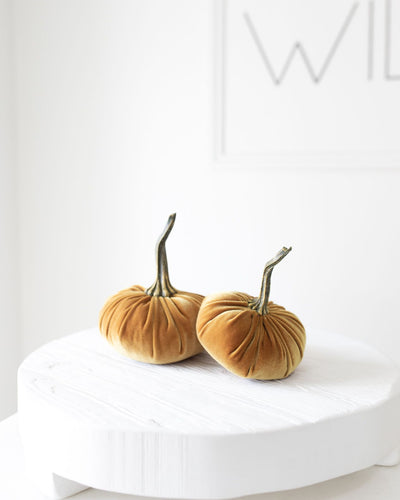 Medium Velvet Pumpkins In Various Colorways