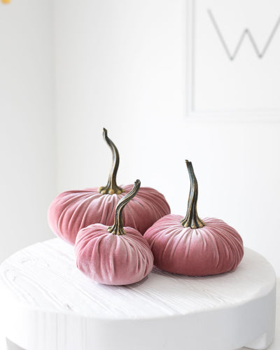 Large Velvet Pumpkins In Various Colorways
